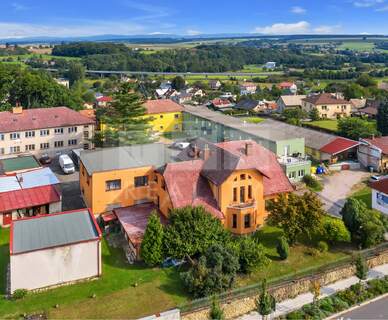reprezentativni-secesni-vila-1